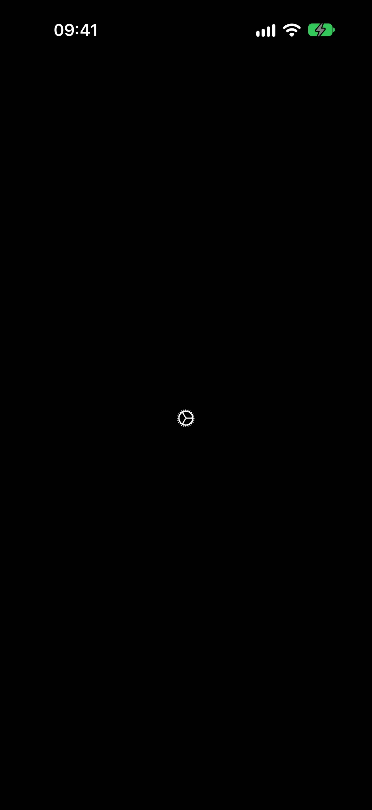 单独显示的齿轮 SF Symbol，不显示标题文本