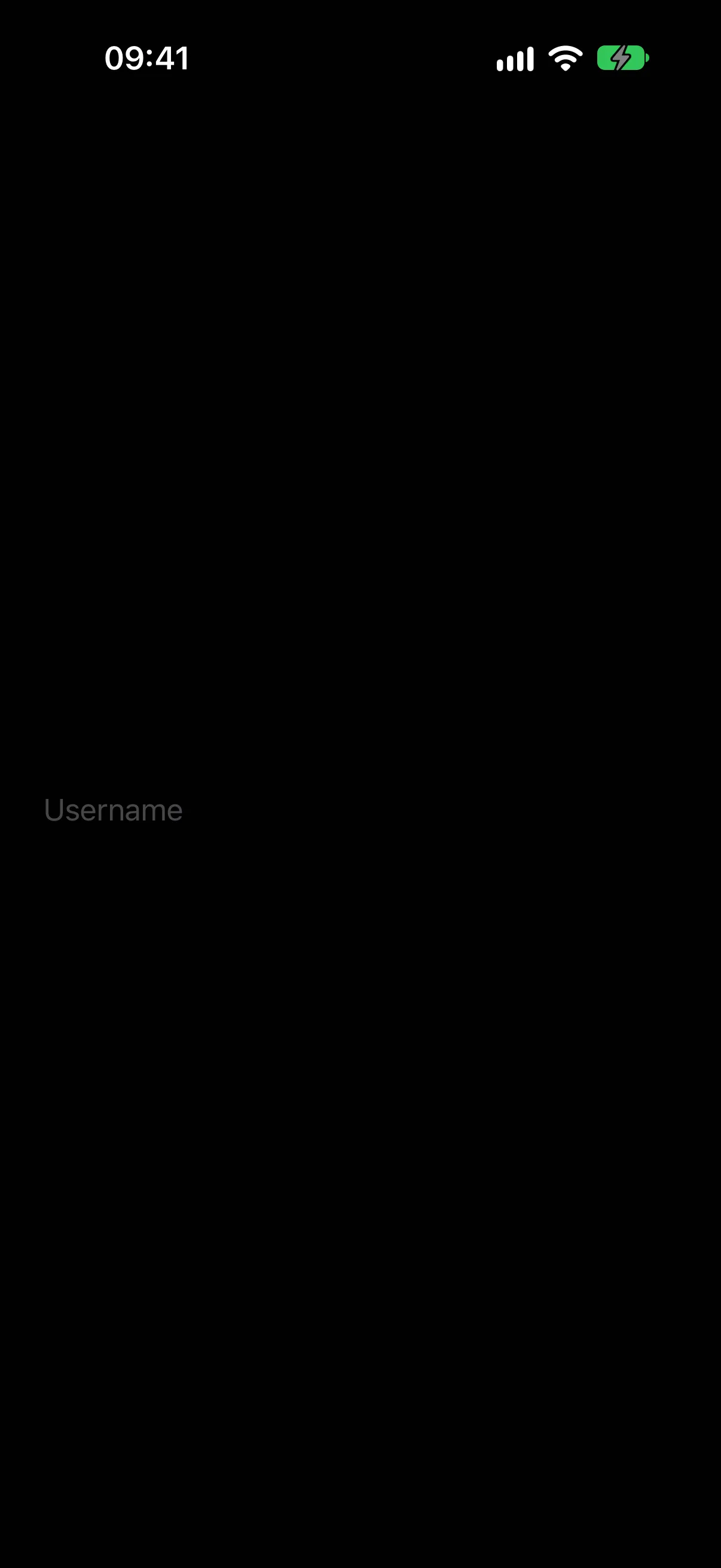 显示占位符 Username 的空文本输入框