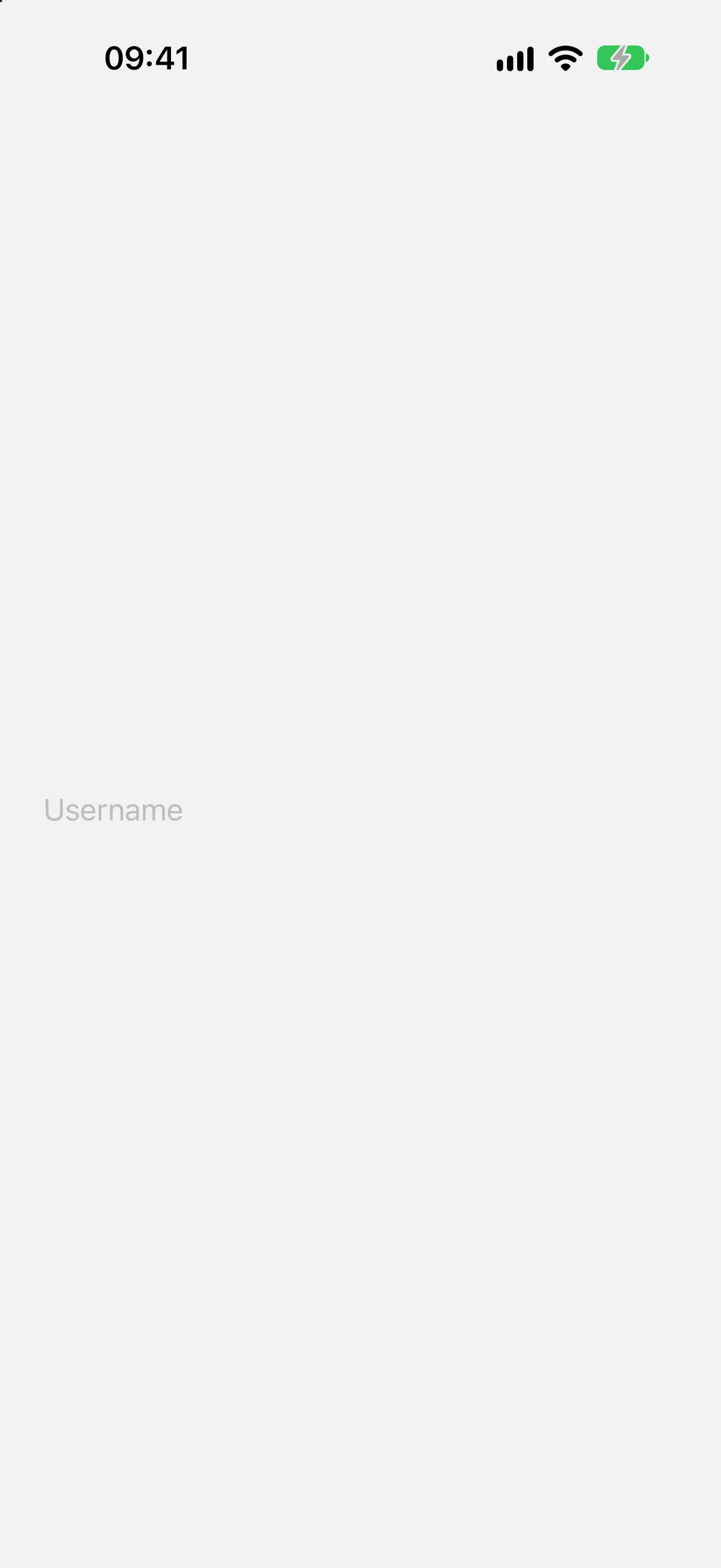 显示占位符 Username 的空文本输入框