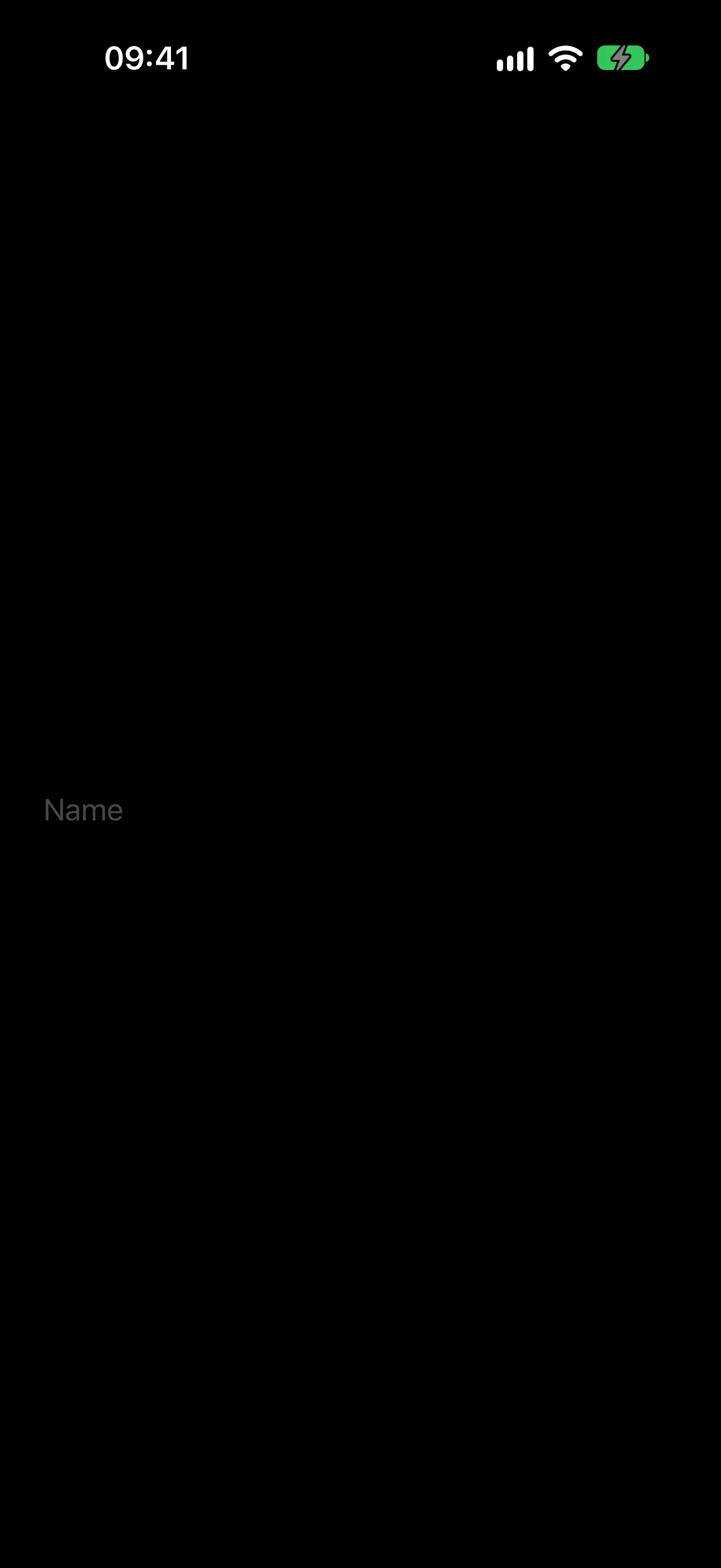 显示占位符 Name 的空文本输入框